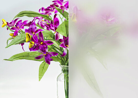 Siersema Stoffeerders - Privacy Folie